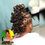 Loc Re-twist w/ Basic Style