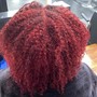 Root Touch Up