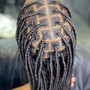 Feed-in Braids (15-20)