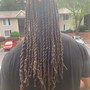 Comb Twist ( Two strand )