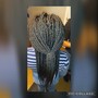 Crochet Braids (braid down method)