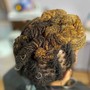 Twist Out