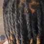 Starter Sisterlocks