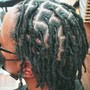 Starter Locs