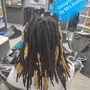 Partial Locs Highlights (Tips)