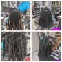 Partial Locs Highlights (Tips)