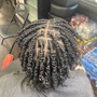 Starter Locs