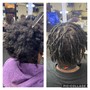 Root Touch Up