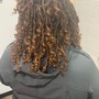 Starter Locs full head shoulder length