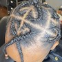 Kid's Scalp Braids/Plaits/Double Twists