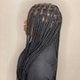 Butterfly locs, soft locs (shoulder length)