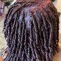 Shampoo, Condition and Retwist