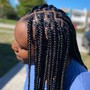 Kid's Braids(Plus)