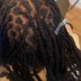 Starter Locs