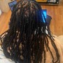 Starter Locs