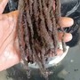 Butterfly Locs