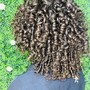 Two Strand Twist (Short to Medium Length)