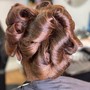 Updo