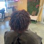 Root Touch Up