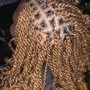 Kinky Twist