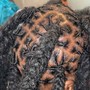 SMALL starter locs coils/Twist