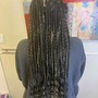 Knottless Box Braids