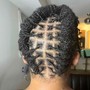 Starter Locs  (Two-Strand Twist)