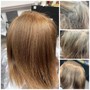 Root Touch Up