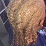 Feed in Braids