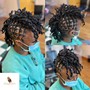 Bantu Knots Curls Locs or Natural Hair