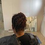 Model Wig Install