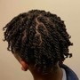 Starter Locs (Crochet Method)