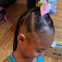 Small Feed In Braided Ponytail