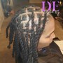 Starter Locs