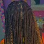 Extra Small Braids (Waist Length, Butt Length or Knee Length )