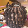 2 Strand Twist Starter Locz