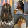 Braid Ponytail (Small braids)