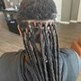 Starter Locs