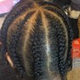 Braids or  2 strand twist  style