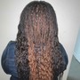 FeedinX Curly Sew In