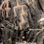 Locs Retwist (no style)