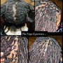 INSTANT LOCS (tapered haircut) start @ $400