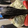 Feed in Braids