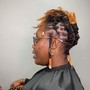 Protective Style Prep(Shampoo&amp;Blowdry)