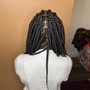 Adult Knotless Braids (large)