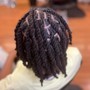 Starter Locs