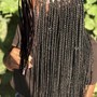 Natural Twists