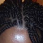 Box Braids