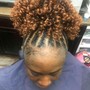 Root Touch Up