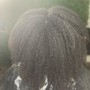 Starter Locs